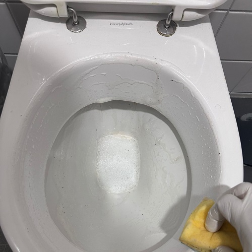 WC-Reinigung